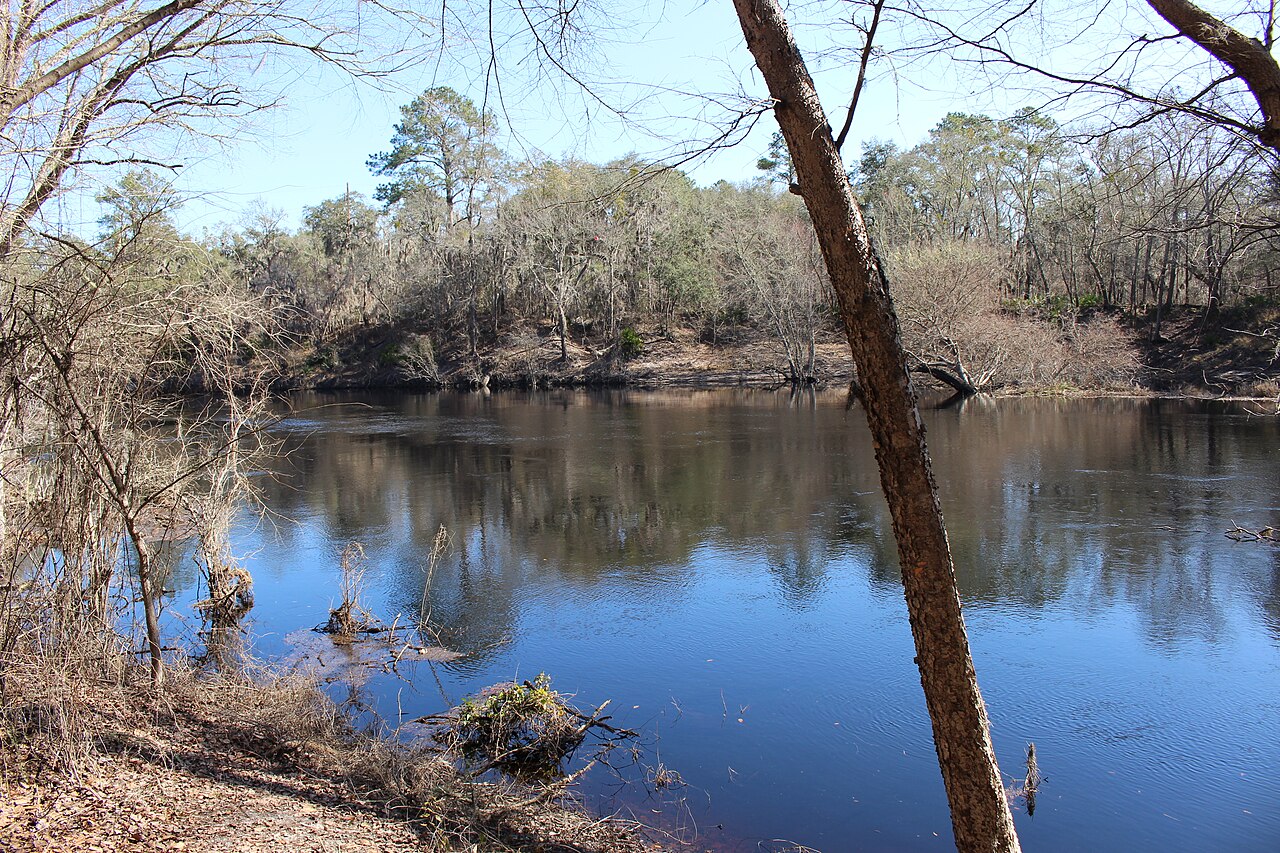 Suwannee River near Suwannee Springs, with wooded banks